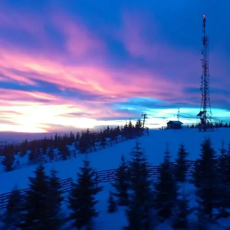 Casa de hóspedes Andante